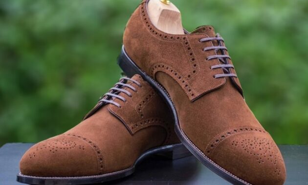 Mens Brown Lace Up Dress Shoes Elegant and Stylish Footwear