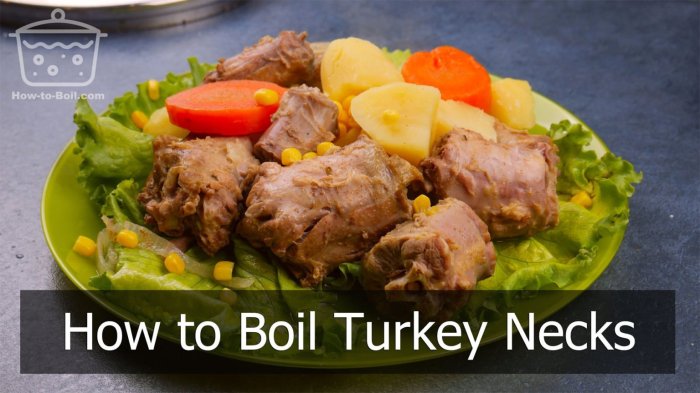 How to cook turkey necks southern style